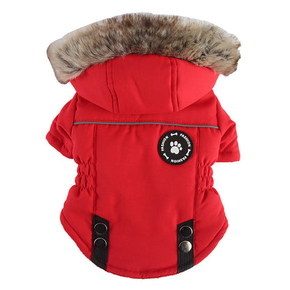 Dog winter coat with zipper, warm cotton coat for small and medium dogs