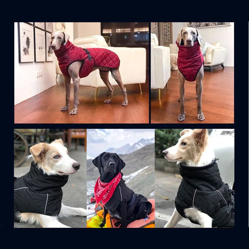 Dog winter coat for large dogs, all sizes