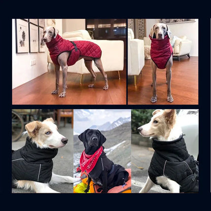 Dog winter coat for large dogs, all sizes