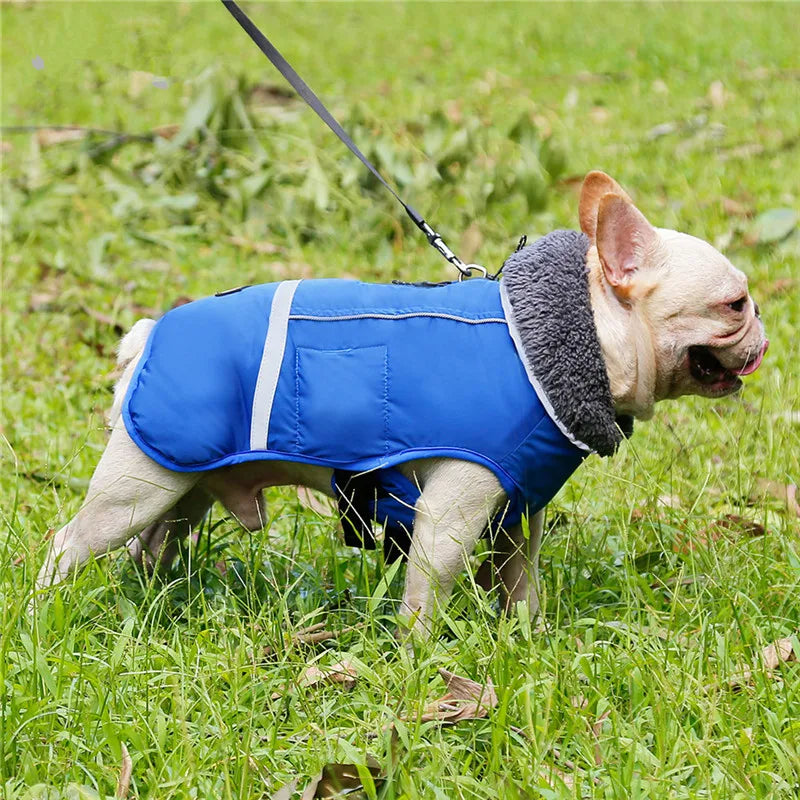 Warm winter dog coat with reflectors, for medium and large dogs