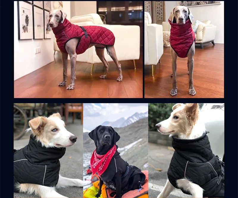 Dog winter coat for large dogs, all sizes