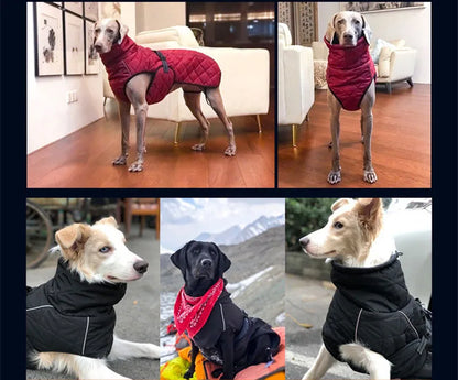 Dog winter coat for large dogs, all sizes