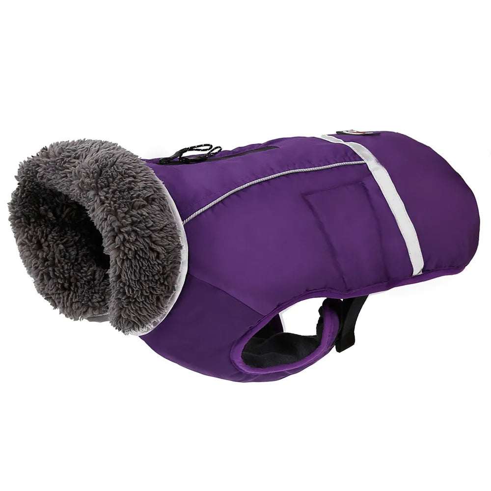 Warm winter dog coat with reflectors, for medium and large dogs