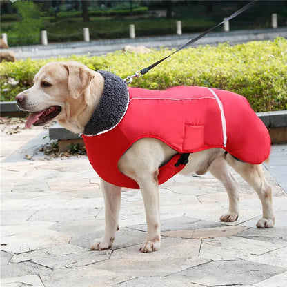 Warm winter dog coat with reflectors, for medium and large dogs