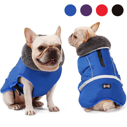 Warm winter dog coat with reflectors, for medium and large dogs