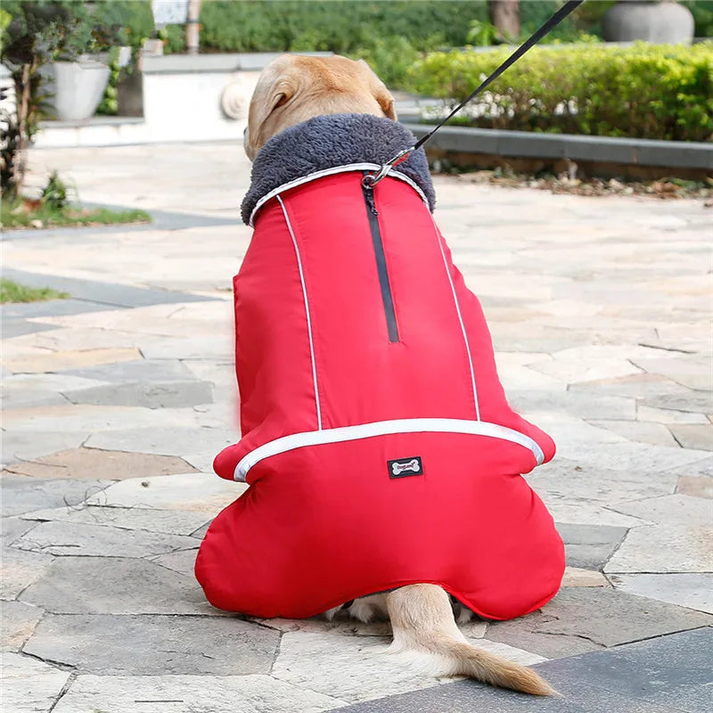 Warm winter dog coat with reflectors, for medium and large dogs