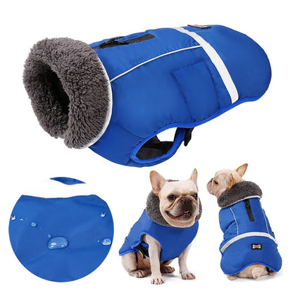 Warm winter dog coat with reflectors, for medium and large dogs