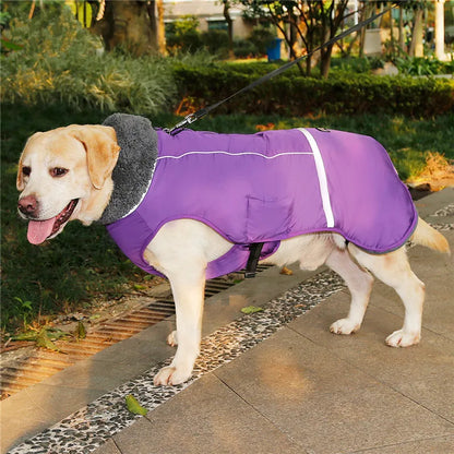 Warm winter dog coat with reflectors, for medium and large dogs