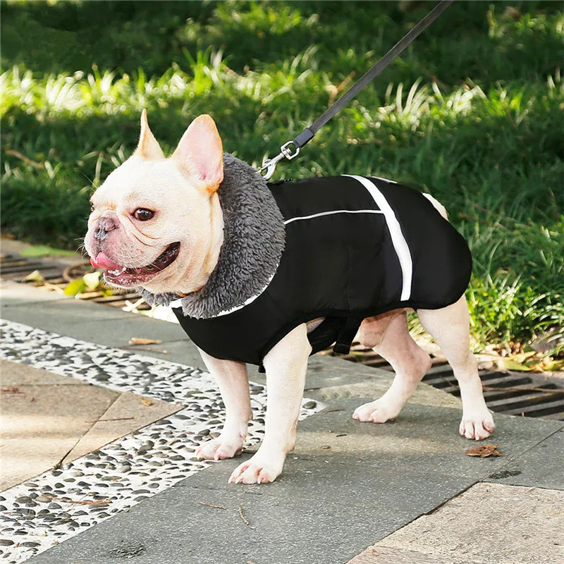 Warm winter dog coat with reflectors, for medium and large dogs