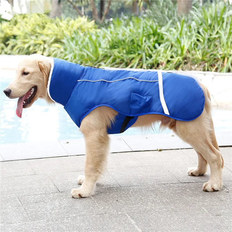 Warm winter dog coat with reflectors, for medium and large dogs