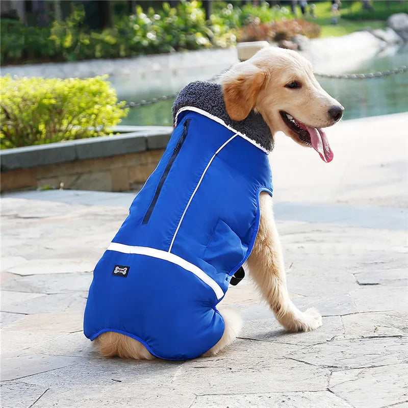 Warm winter dog coat with reflectors, for medium and large dogs