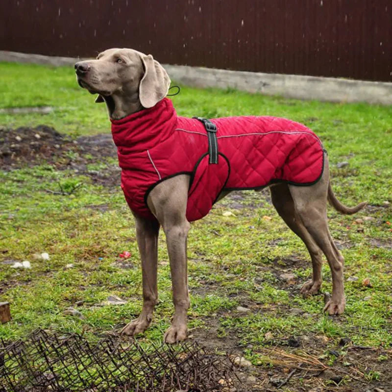Dog winter coat for large dogs, all sizes