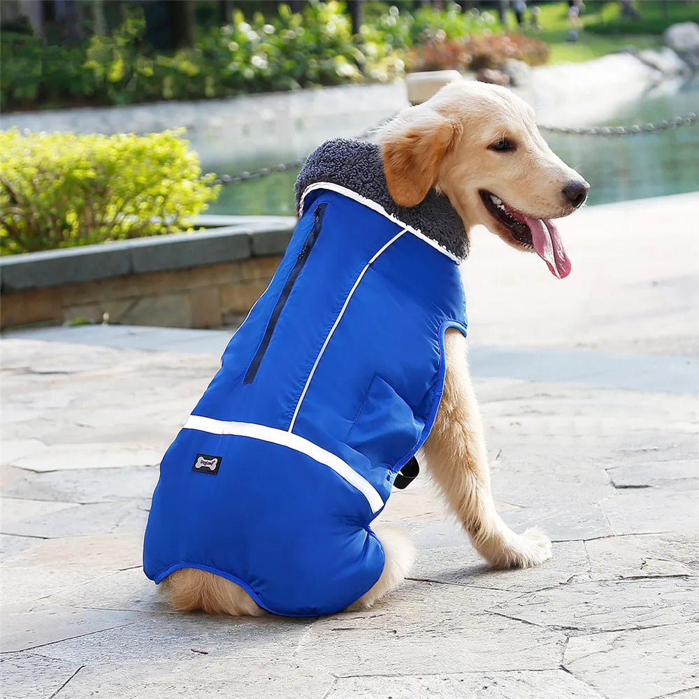 Warm winter dog coat with reflectors, for medium and large dogs