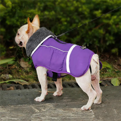 Warm winter dog coat with reflectors, for medium and large dogs