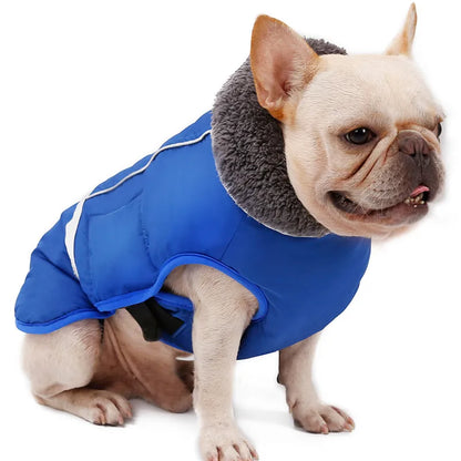 Warm winter dog coat with reflectors, for medium and large dogs