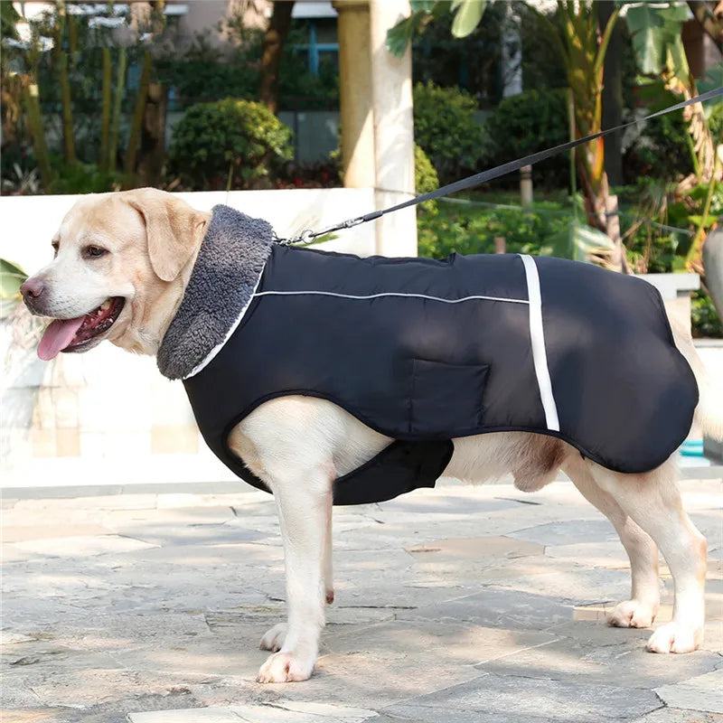 Warm winter dog coat with reflectors, for medium and large dogs