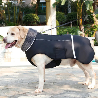 Warm winter dog coat with reflectors, for medium and large dogs