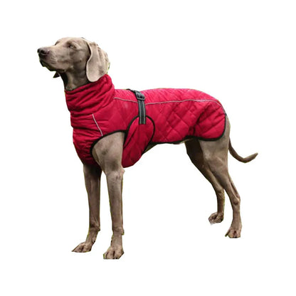 Dog winter coat for large dogs, all sizes