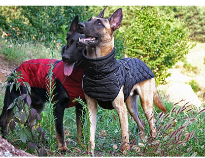 Dog winter coat for large dogs, all sizes