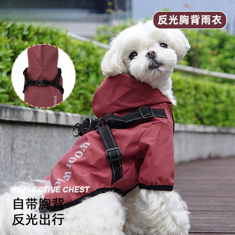 Reflective dog raincoat, for small dogs