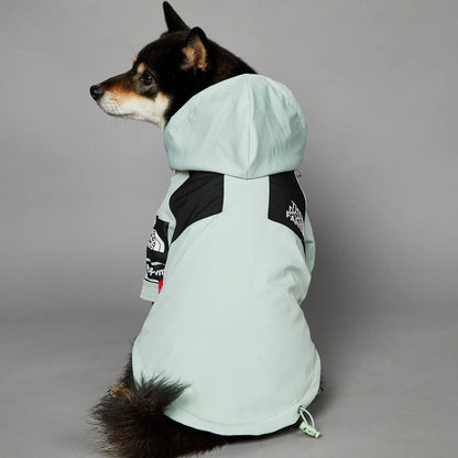 Stylish dog raincoat, all sizes