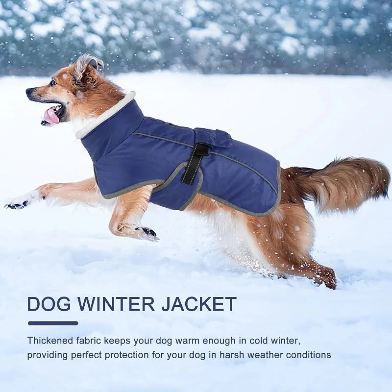 Dog winter jacket for large dogs, warm and reflective