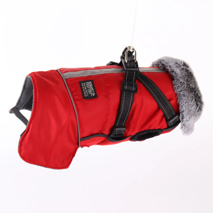 Dog winter jacket with harness, very warm jacket for small and medium-sized dogs