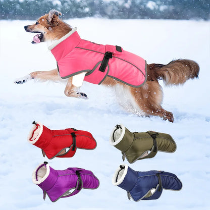 Dog winter jacket for large dogs, warm and reflective