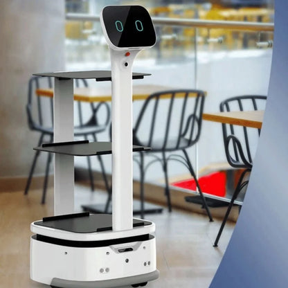 A human-sized intelligent service robot for restaurants