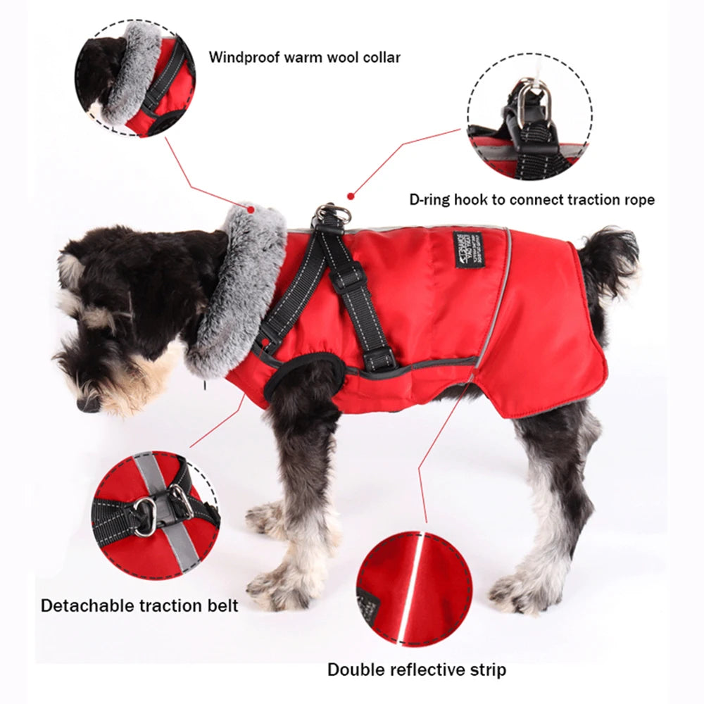 Dog winter jacket with harness, very warm jacket for small and medium-sized dogs