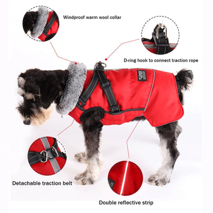 Dog winter jacket with harness, very warm jacket for small and medium-sized dogs