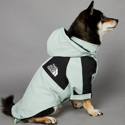 Stylish dog raincoat, all sizes