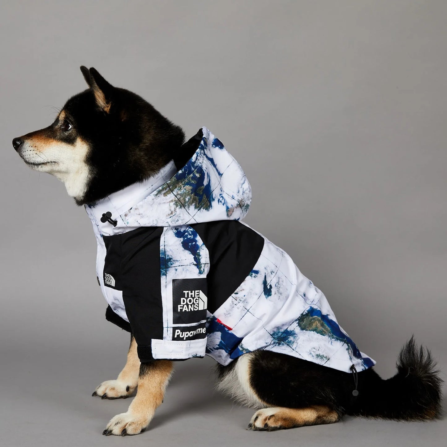 Stylish dog raincoat, all sizes