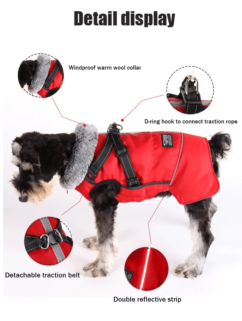 Dog winter jacket with harness, very warm jacket for small and medium-sized dogs