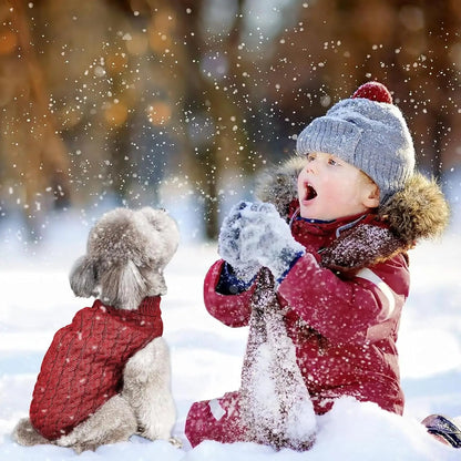 Dog sweater, stylish and warm winter sweater for your pet