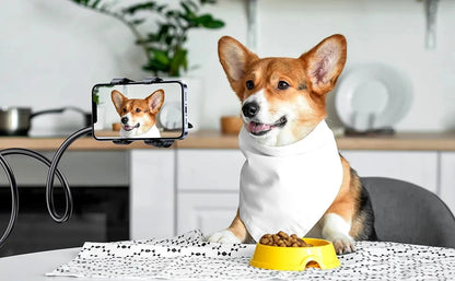 Universaali Puhelimen Pidike - Säädettävä Lazy Stand Livestreamiin & Selfiehin