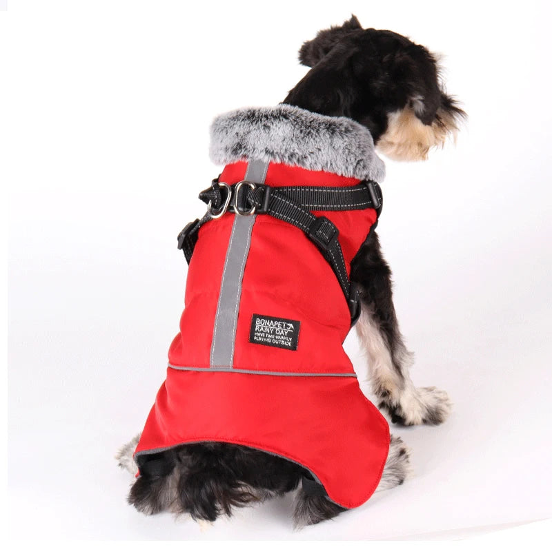 Dog winter jacket with harness, very warm jacket for small and medium-sized dogs