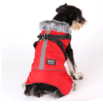 Dog winter jacket with harness, very warm jacket for small and medium-sized dogs