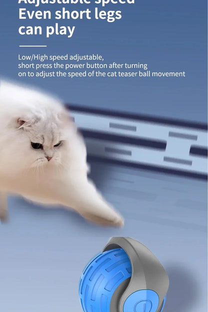 Automaattinen Rullautuva Interaktiivinen Kissan Lelupallo - Ladattava Sähköinen Lemmikkipallo Rottatoiminnolla