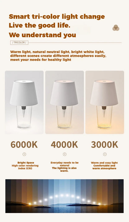 LED bottle light, USB rechargeable, for home, restaurants and bars