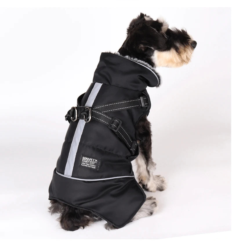 Dog winter jacket with harness, very warm jacket for small and medium-sized dogs