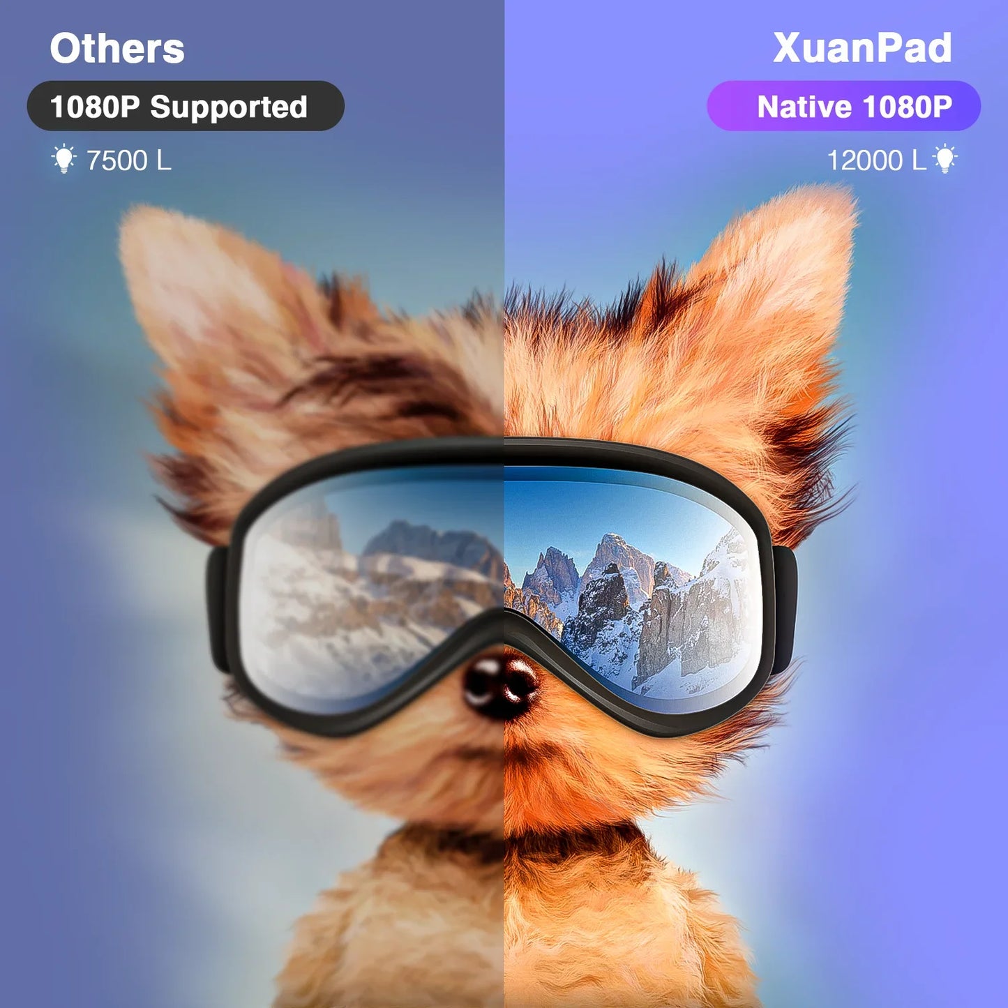 S44946d8ca0d24bfab053047029846a96U