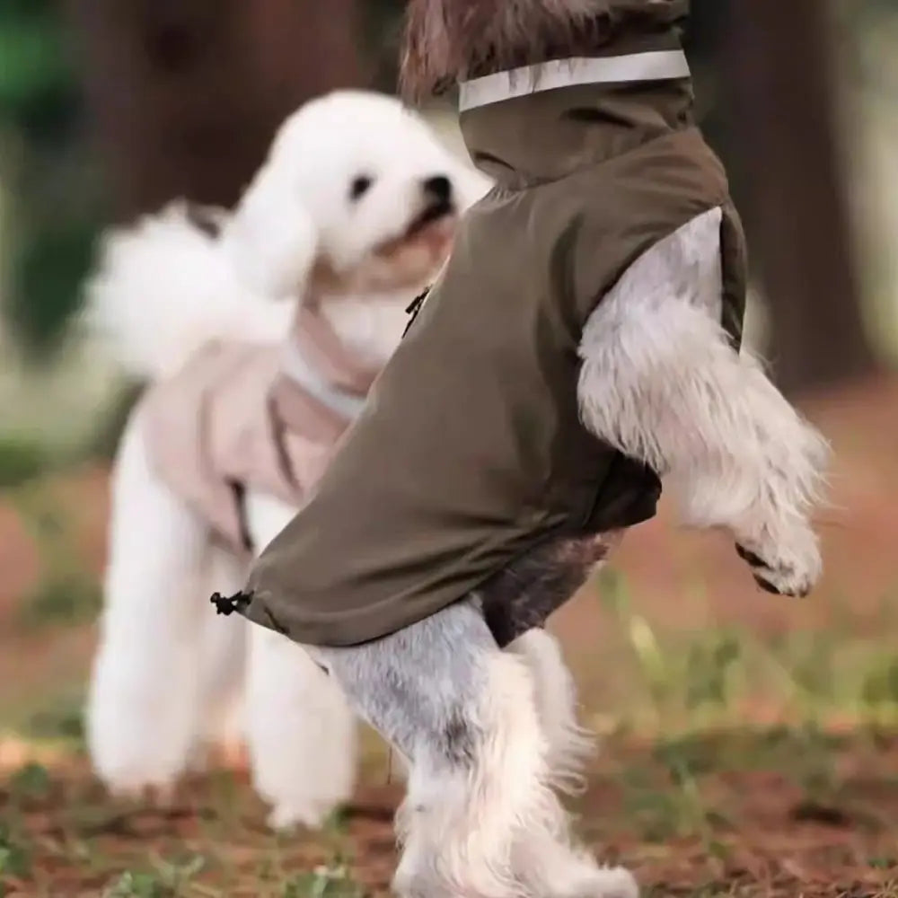 Adjustable dog raincoat, all sizes