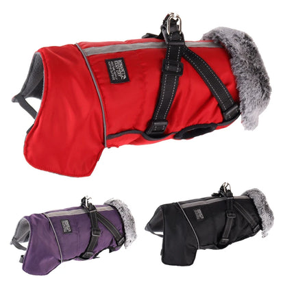 Dog winter jacket with harness, very warm jacket for small and medium-sized dogs