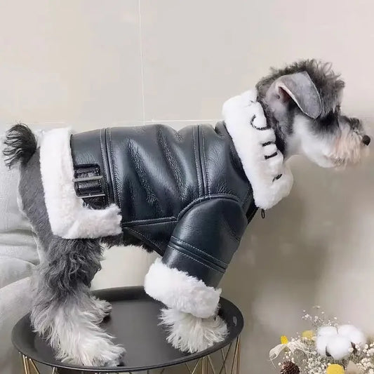 Dog winter coat with fur collar, for small dogs