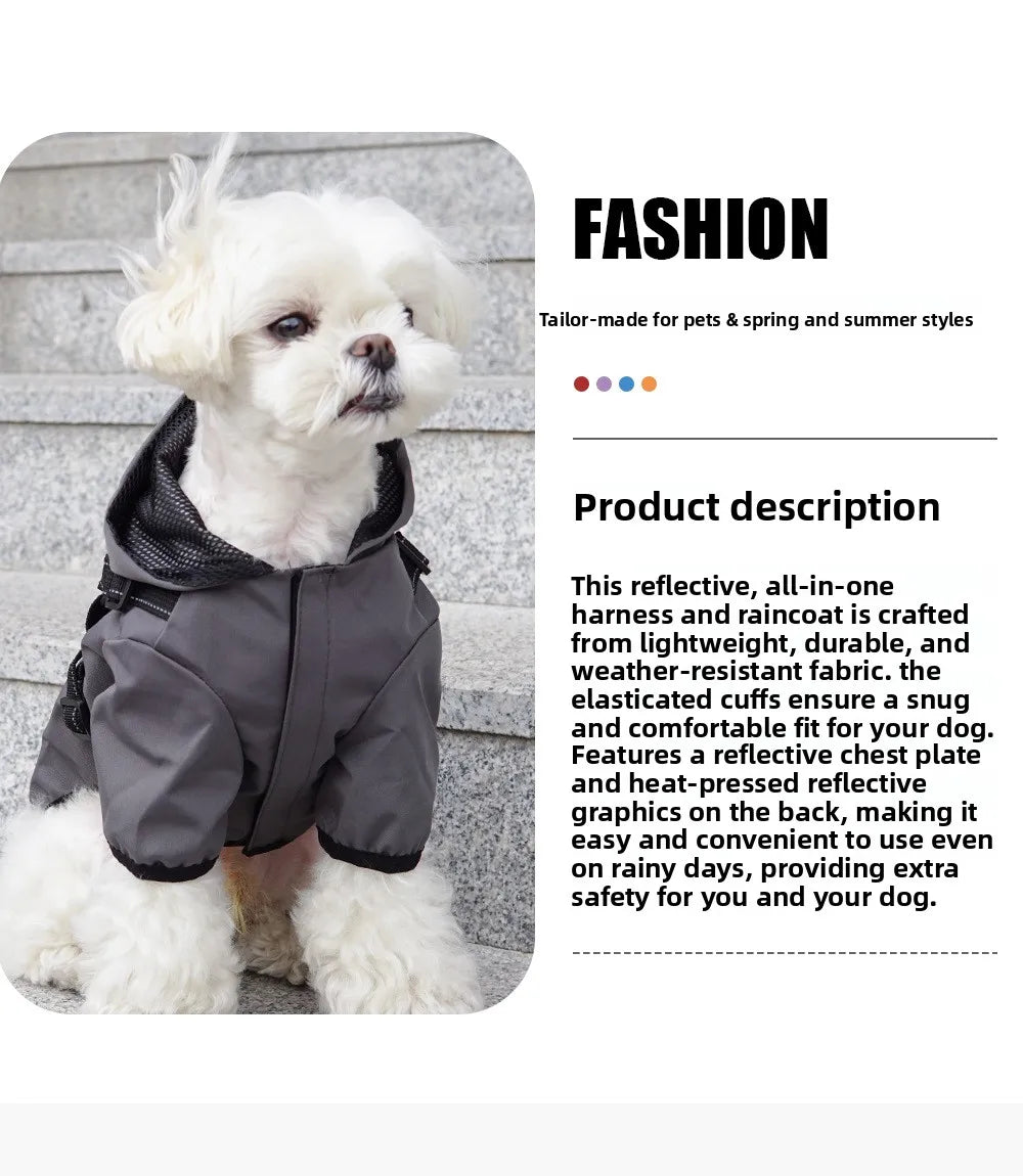 Reflective dog raincoat, for small dogs