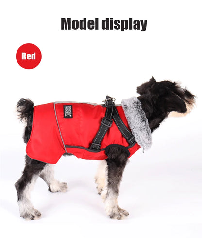 Dog winter jacket with harness, very warm jacket for small and medium-sized dogs