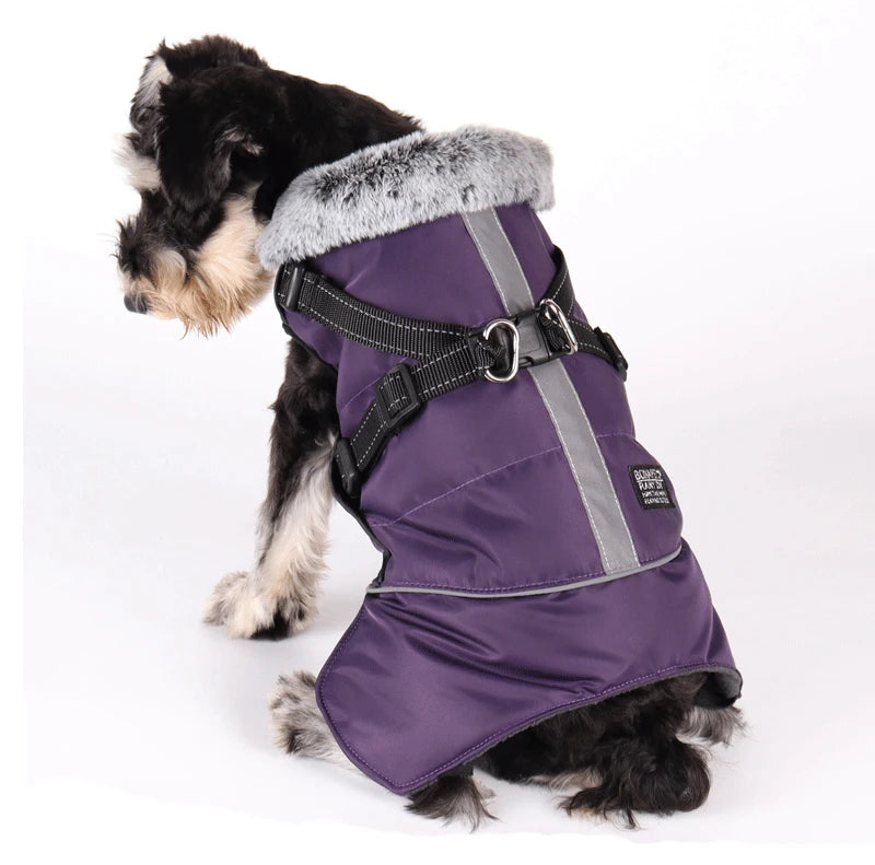 Dog winter jacket with harness, very warm jacket for small and medium-sized dogs