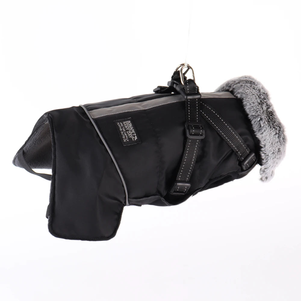 Dog winter jacket with harness, very warm jacket for small and medium-sized dogs
