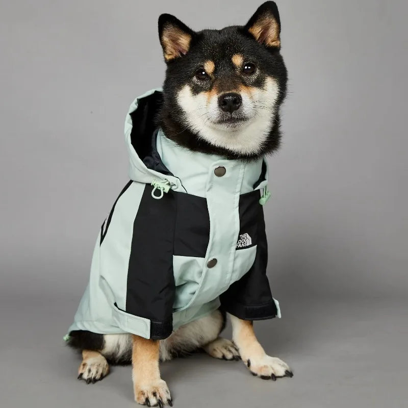 Stylish dog raincoat, all sizes